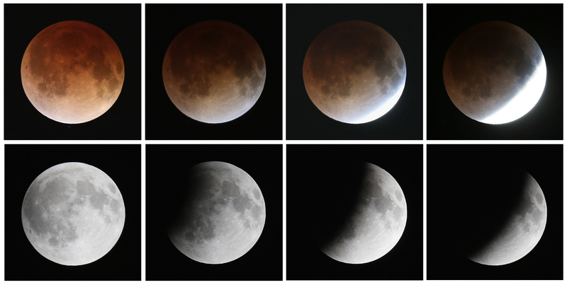 Illustration for article titled El último eclipse lunar total (la luna de sangre), en imágenes